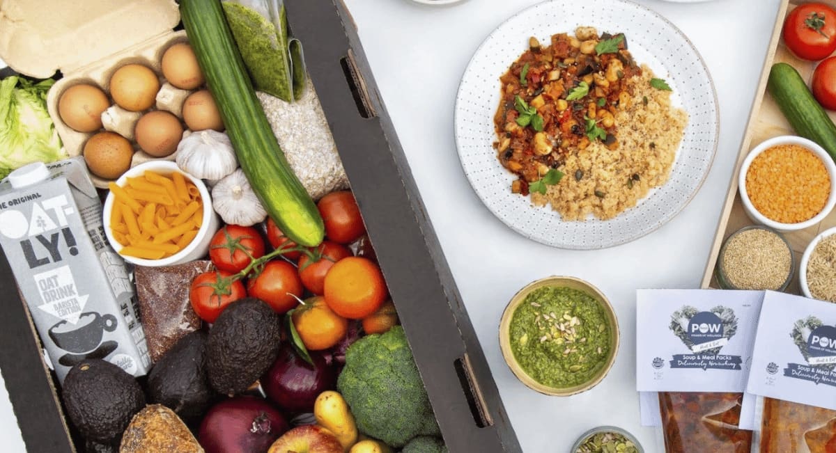 The Power of Wellness