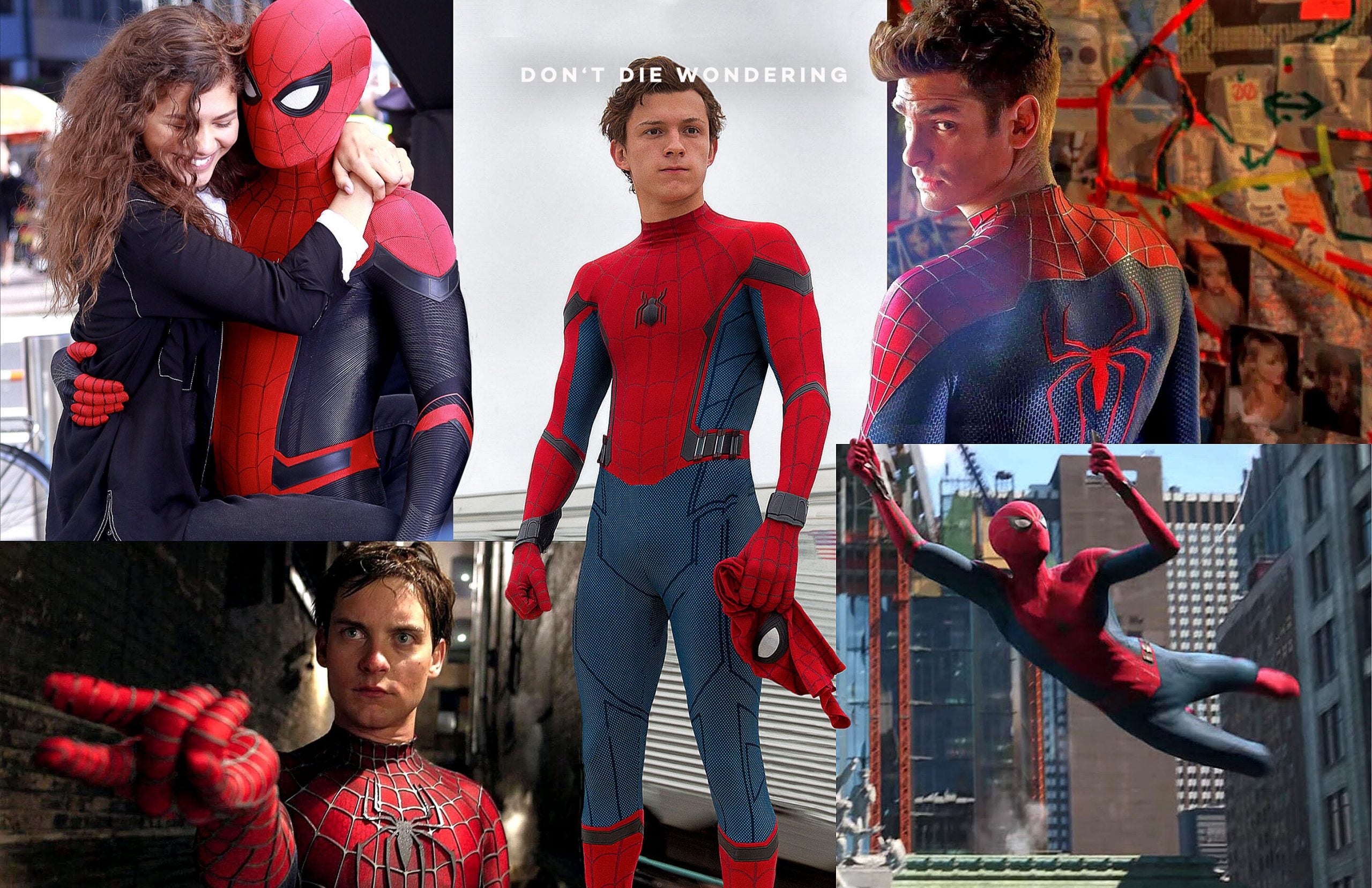 Into The Multi-Verse: The Evolution Of Spider-Man Into The Multi-Verse: The Evolution Of Spider-Man