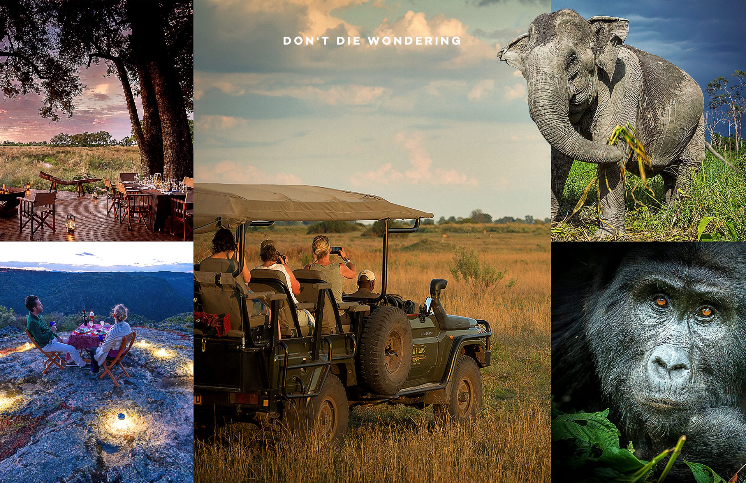 Ethical Safari Company Across The Globe