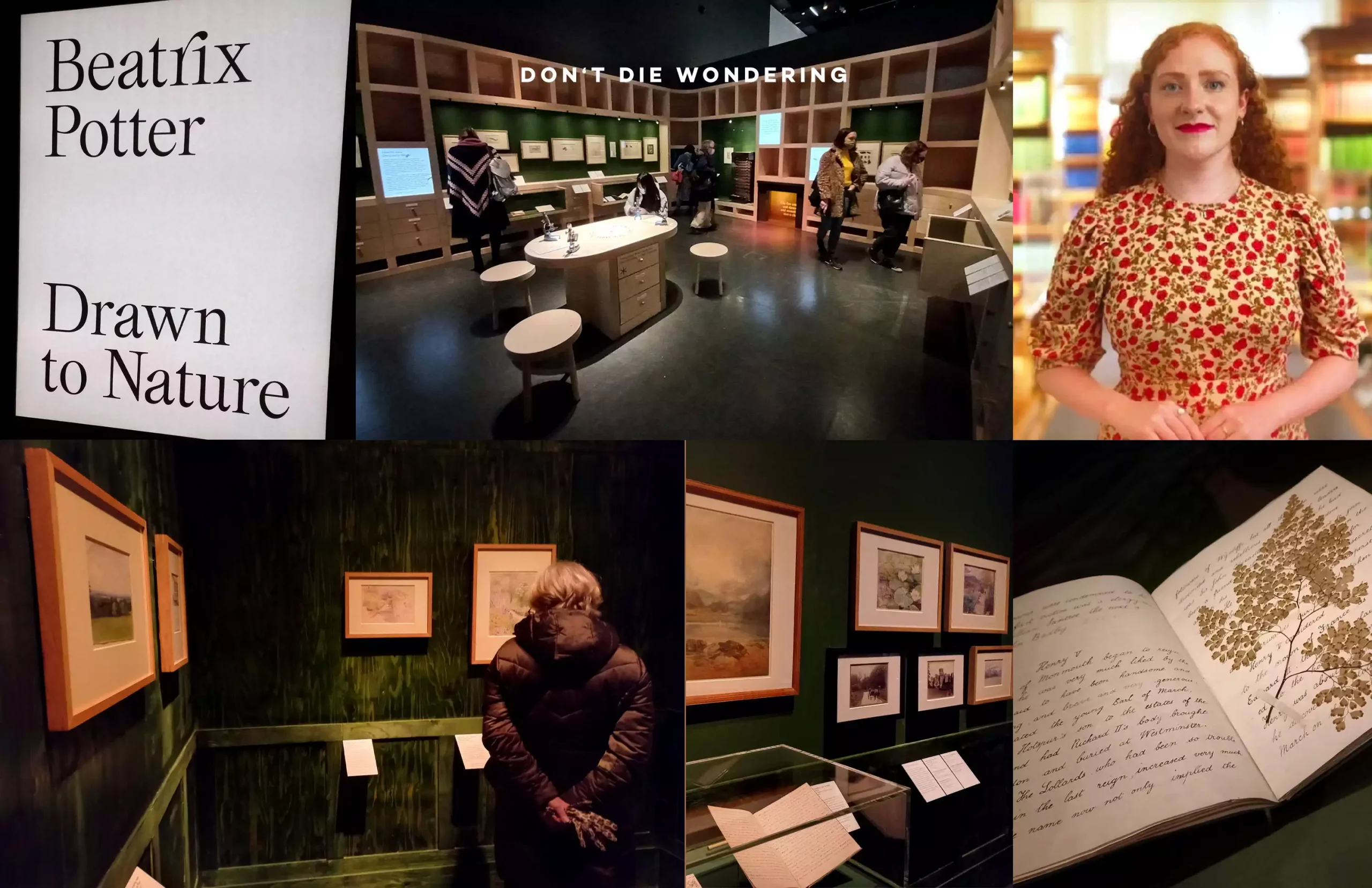 Celebrating Beatrix Potter A Drawn To Nature V&A Immersive Experience  Celebrating Beatrix Potter A Drawn To Nature V&A Immersive Experience