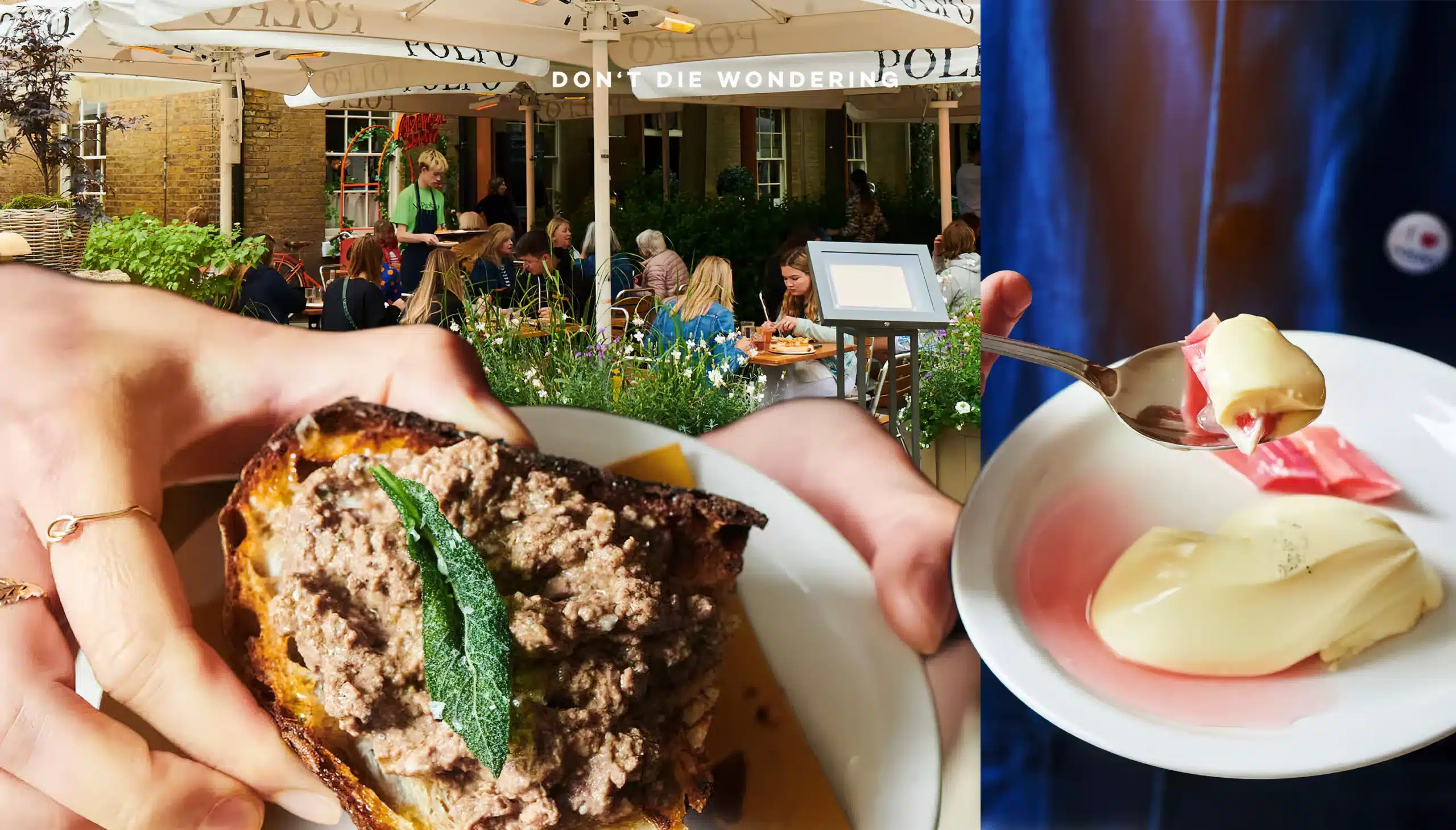 POLPO: Where Venetian Charm Meets Italian Authenticity in London POLPO: Where Venetian Charm Meets Italian Authenticity in London