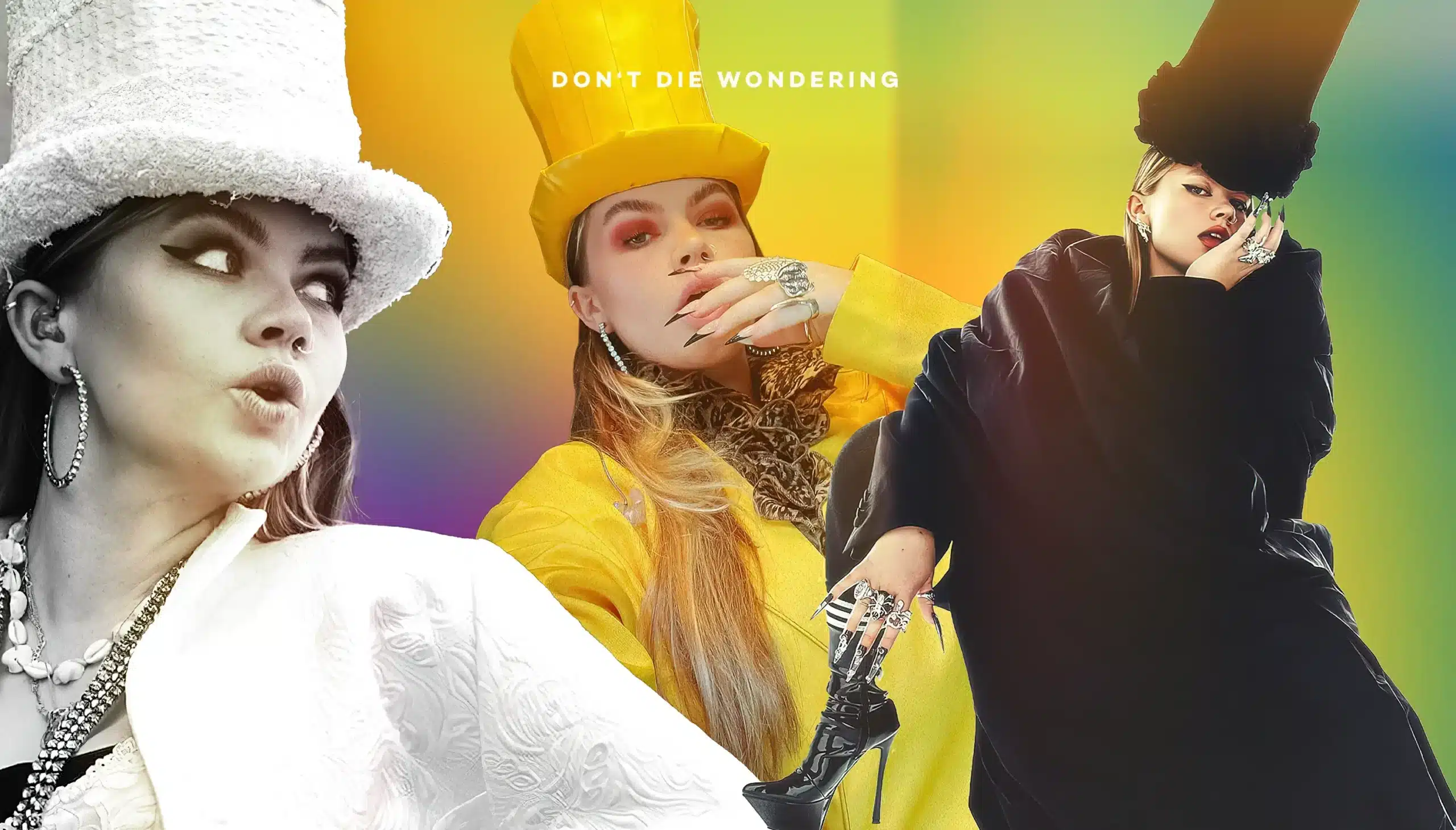 CHINCHILLA | Disruptive, Defiant and DIY CHINCHILLA | Disruptive, Defiant and DIY