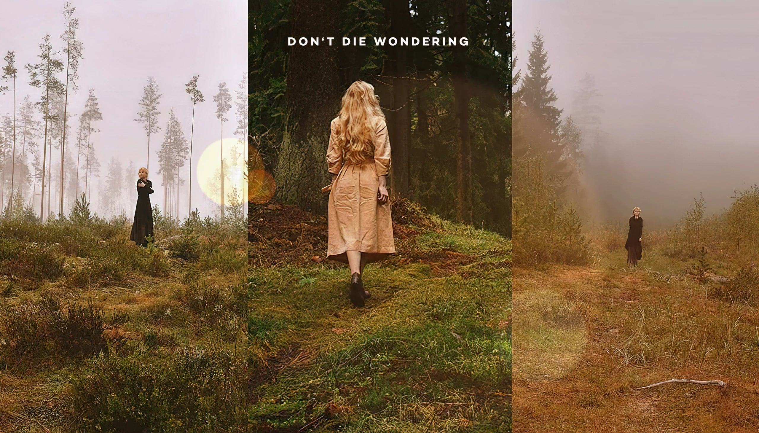 Autumn’s Occult Offerings: Unveil the Mysterious Powers of the Harvest Season Autumn’s Occult Offerings: Unveil the Mysterious Powers of the Harvest Season